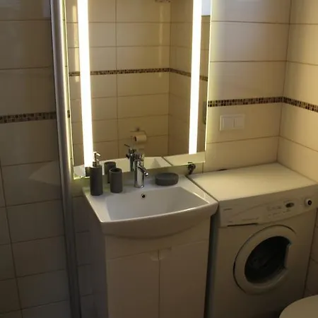 Apartamentai Kauno Centre *