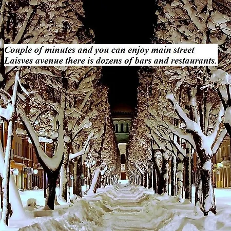 Apartamentai Kauno Centre Kowno