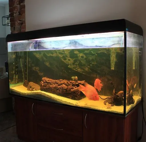 Apartamento Apartamentai Kauno Centre *