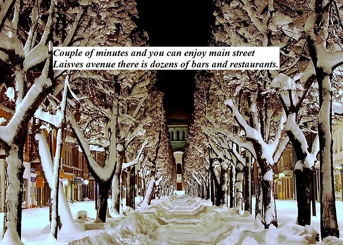 Apartamentai Kauno Centre Kaunas